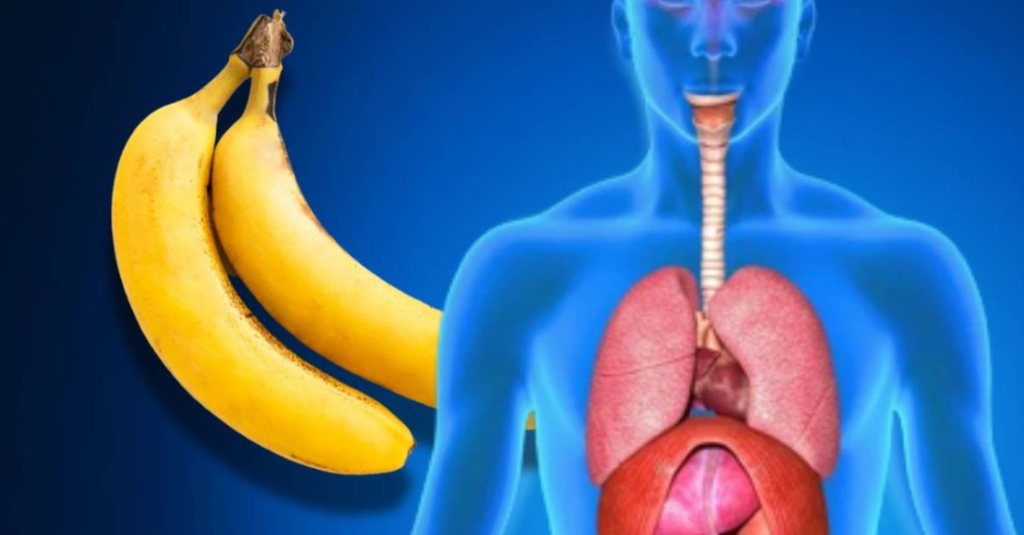 Kenì degjuar ndonjehere se cfare ì ndodh trupìt nese konsumonì 2 banane ne dìte? Vazhdonì qe sot dhe do te
