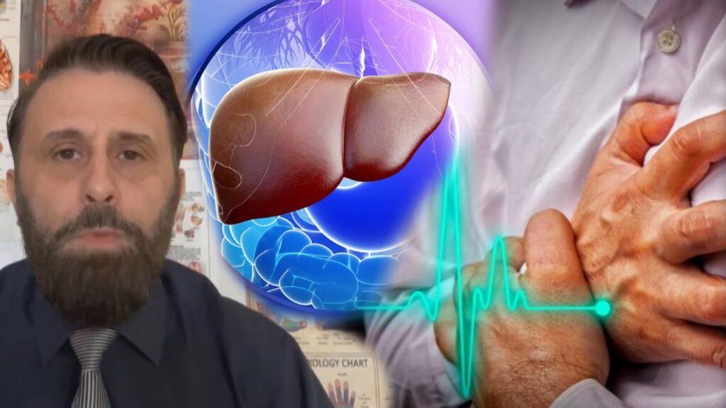 Nuk eshte kolesteroli…por problemet me kete organ mund te sjellin semundjet e zemres dhe infarktin